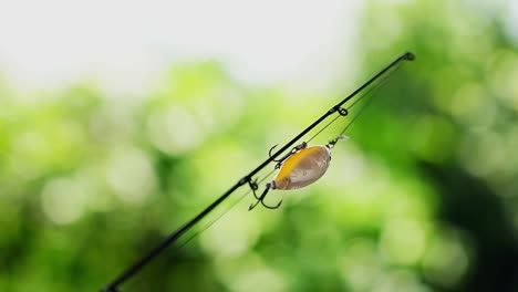 close-up of fishing lure on rod