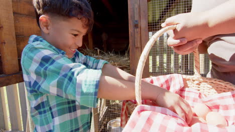 happy biracial grandmother and grandson picking eggs from henhouse, slow motion