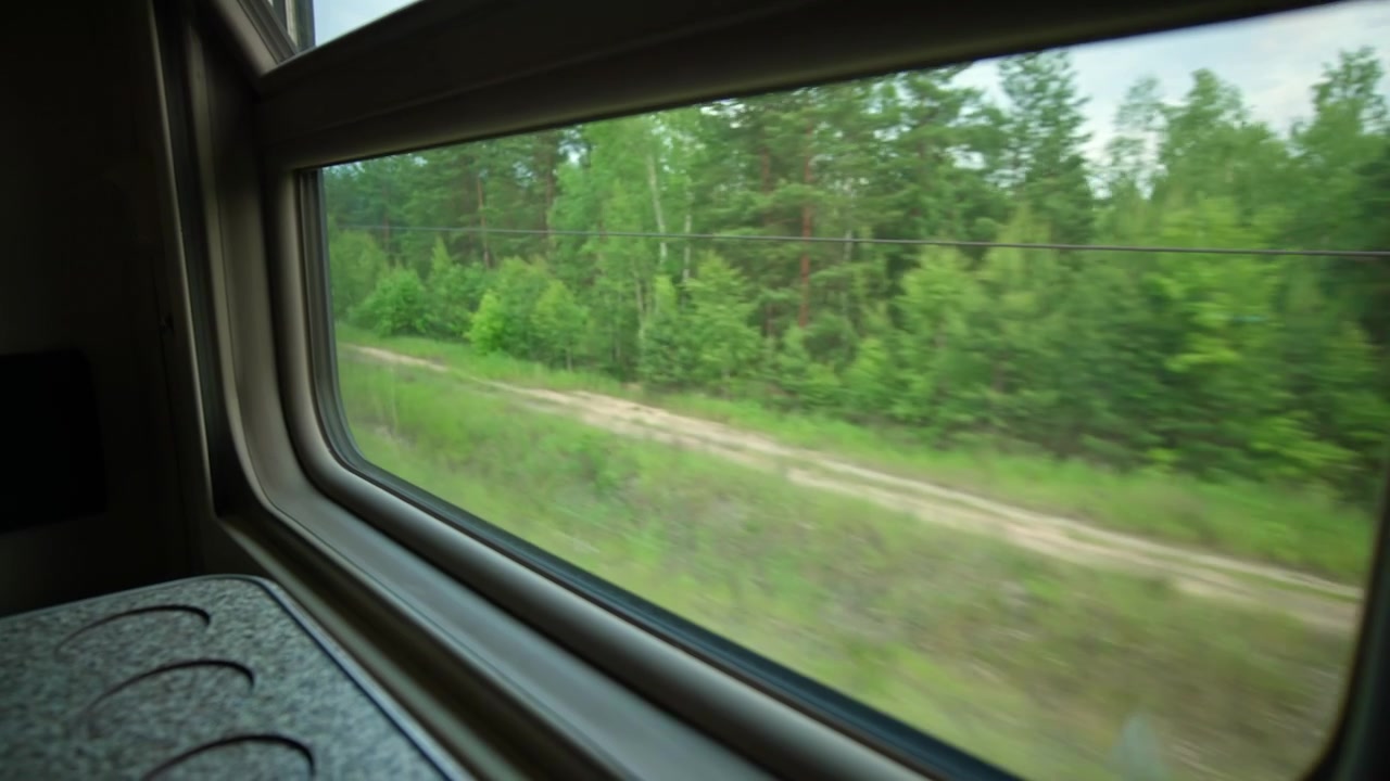 View from a Train Window Passing Through a Green Forest