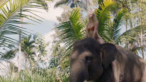 mujer feliz montando un elefante en la jungla con los brazos levantados disfrutando de la libertad explorando el exótico bosque tropical divirtiéndose en una aventura con un compañero animal 4k