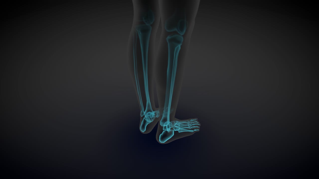 여성 몸의 회전 - 골격 와 다양한 내부 기관의 스레이 스캔, 의료 교육 일러스트레이션 - 4k 60fps uhd