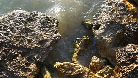 Große-Nahaufnahme-Der-Schäumenden-Wellen-Der-Adria,-Die-Gegen-Die-Felsige-Küste-Eines-Albanischen-Strandes-Schlagen,-Mit-Palmen-Im-Hintergrund