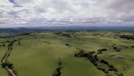 Aerial-Drone-images-Wind-Park-Tilaran,-Guanacaste,-Costa-Rica