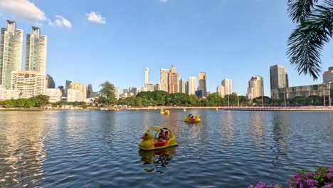 people enjoying paddle boating on a sunny day