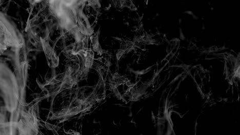 el humo sobre un fondo negro. abstracción en blanco y negro.