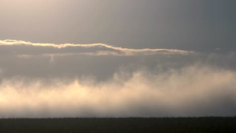 fog over the steppe morning plain.