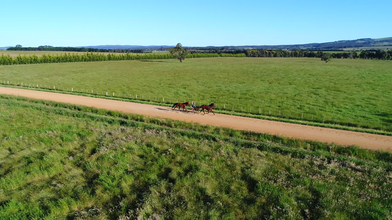 helicóptero seguimiento de carreras de caballos en la pista