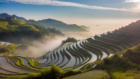 stunning rice terraces landscape