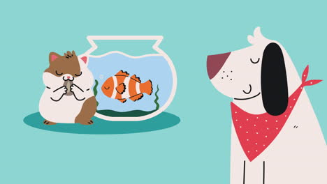 guinea pig with fish and dog animation