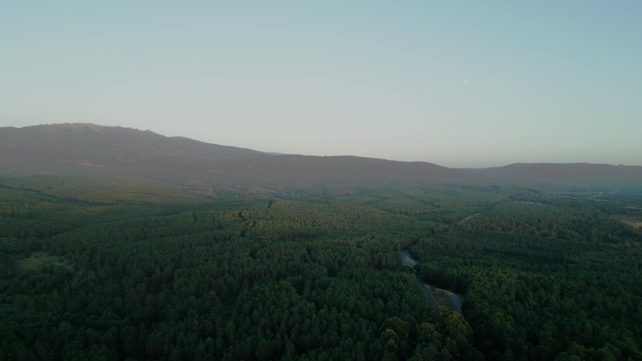 hermosa vista del bosque que rodea el templo de los milagros al atardecer de verano