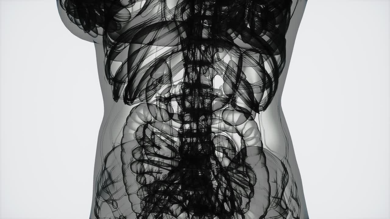 resonancia magnética 3d del cuerpo de una mujer