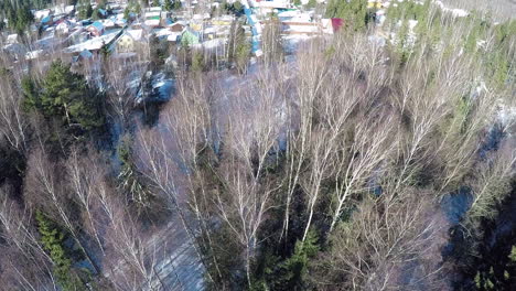 Vista-Aérea-Invernal-De-Casas-En-El-Pueblo-Cerca-Del-Bosque.