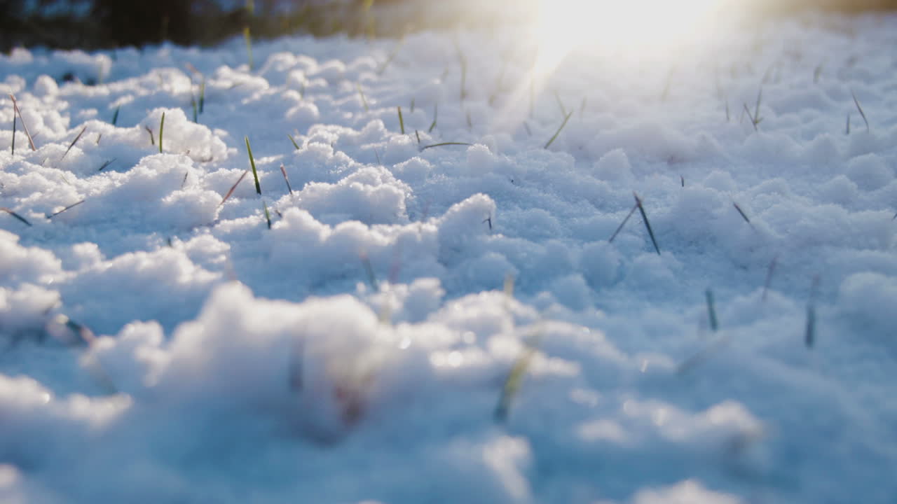 Snowy Landscape with Sunlight