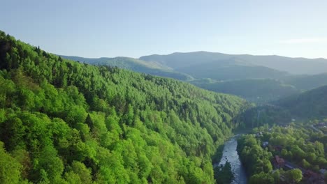 aerial drone footage view: flight over spring mountain village with forest in sunrise soft light. alps, switzerland, europe. majestic landscape. beauty. concept of pure nature, natural food, lack of chemicals