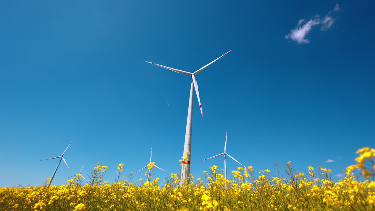 Wind turbines standing tall over a field. Wind turbines rotate against a clear blue sky, surrounded by vibrant yellow flowers in a rural landscape