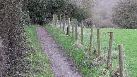 Ein-Fußweg-Neben-Einer-Dichten-Hecke-Und-Einigen-Zaunpfählen,-Die-Stacheldraht-Stützen