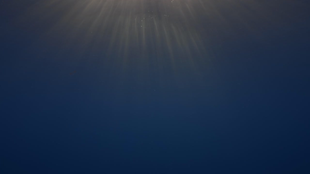 Sol dourado do entardecer brilha através da superfície do oceano em águas tropicais azuis e límpidas