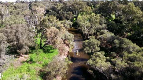 Two-man-yellow-Kayak-travelling-down-stream-in-narrow-river