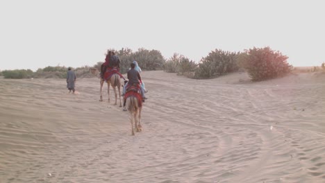 a camel ride in jaisalmer