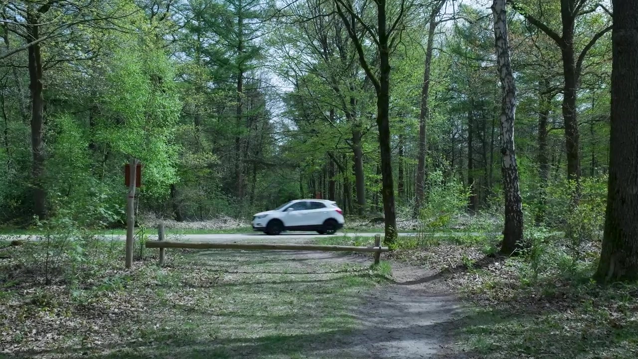 Auto bianca che passa accanto a un sentiero nel bosco