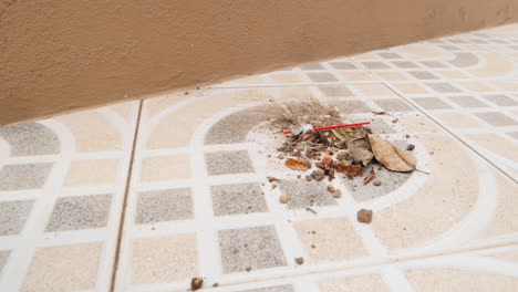 barrer la basura con una escoba en un patio trasero en