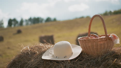 sun hat and woven picnic basket placed on hay bale in vast farmland under warm sunlight, rolling countryside landscape in background enhances rural charm and relaxation