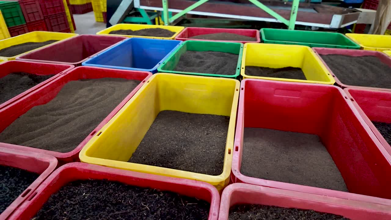 Display of tea leaves in colorful crates inside a bustling tea factory, showcasing the manufacturing process and tradition of tea production.