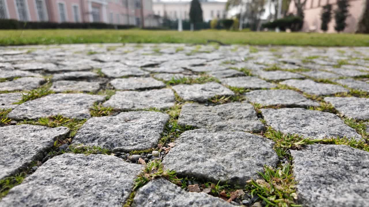 Tracking Shot Over Cobblestone Pavement with Green Grass