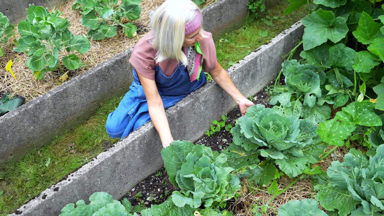 Woman Gardening in a Raised Garden Bed