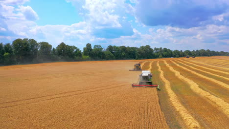 Harvest time. Combine harvester working in a wheat field