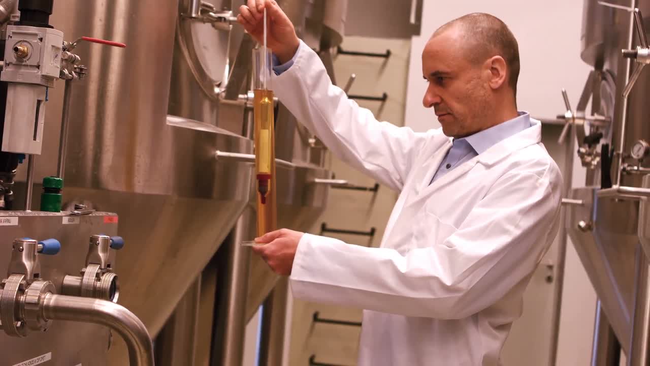 맥주 제조자 테스트 맥주