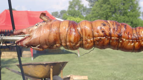 Dos-Cerdos-Giran-Y-Asan-Sobre-Un-Fuego-Abierto-En-Una-Barbacoa