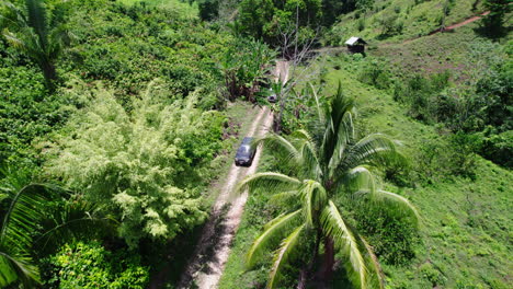 vehicles driving on dust path at cocoa farm