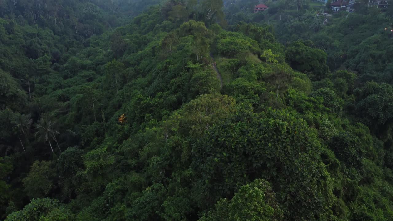 el exuberante dosel verde de la selva tropical en bali visto desde arriba durante una tranquila puesta de sol