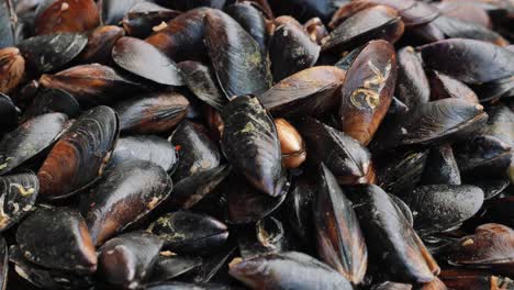 pile of cooked mussels