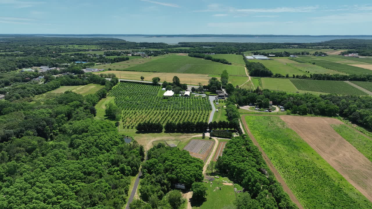 Lush Green Forest And Fields In Peconic, New York - Drone Shot