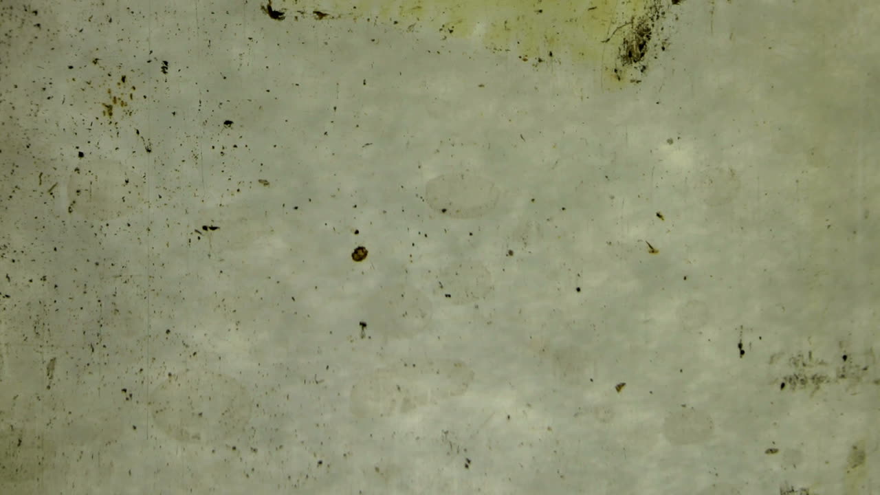 리더 시퀀스 새로운 26