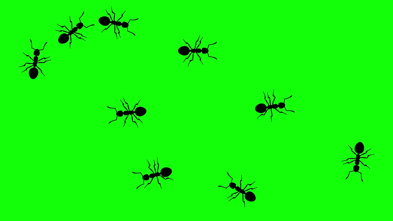 개미 무리, cg 애니메이션 실루, 녹색 스크린, 원활한 루프