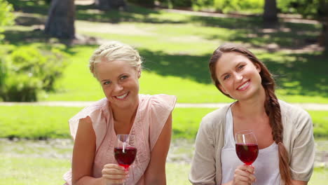 two friends enjoying wine as they both smile and look at the camera