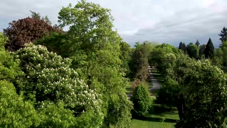 drone-flight-through-trees-and-over-a-city-park,-a-white-bird-flies-by