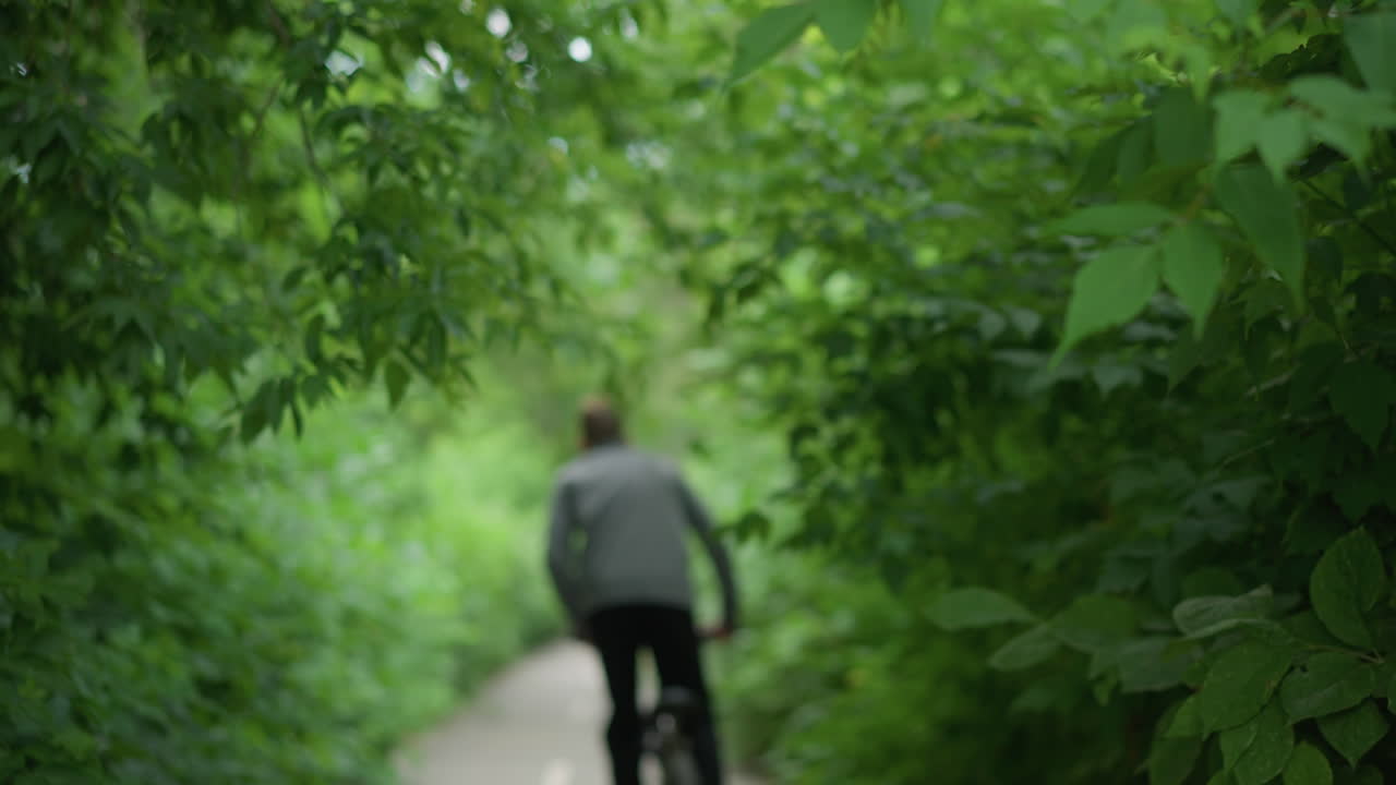 울창한 초록색으로 둘러싸인 포장된 길을 따라 자전거를 타고 있는 어린 소년의 뒷면, 소년은 어있는 가지로 형성된 경치 좋은 녹색 터널을 통해 움직이며, 시야는 약간 흐릿합니다.