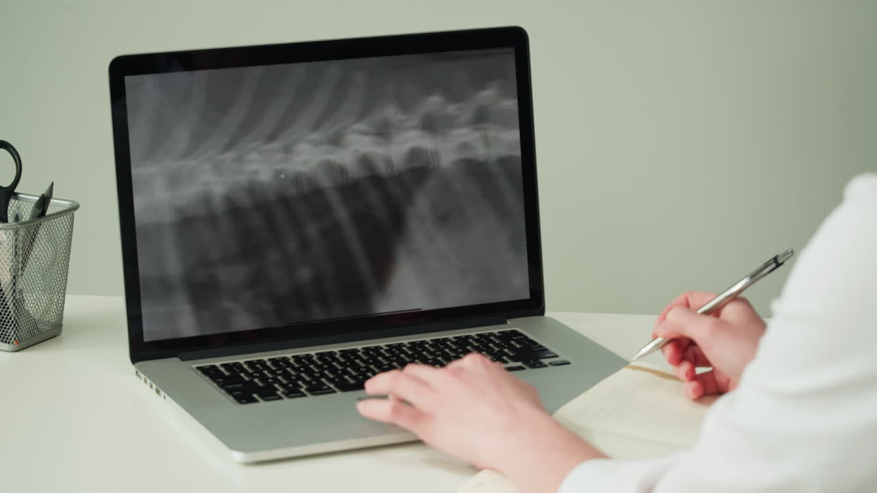 Veterinary X-ray Diagnosis