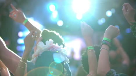 back view of the audience of a gig at a music festival