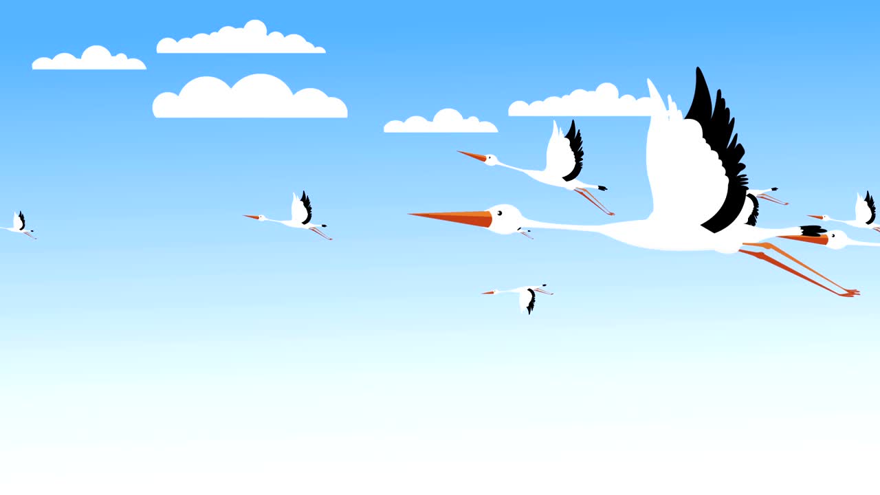 video de las cigüeñas volando en ciclo de stock de resolución 4k (loopable)