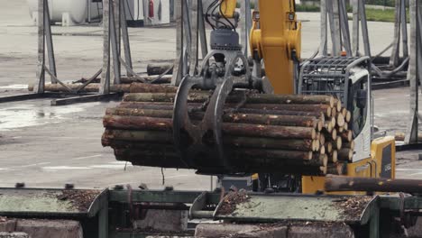 heavy machinery working with wooden logs , around the conveyor belt