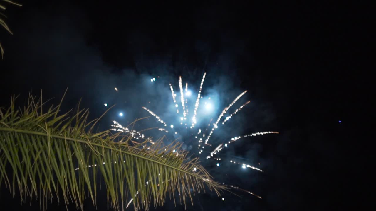 fuegos artificiales sobre las palmeras por la noche