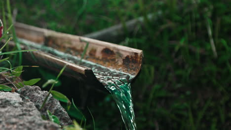 water flowing from a bamboo pipe in a natural setting