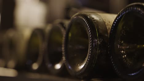 close up of the bottom of 5 bottles of vintage wine caked in dust from the long process of maturing