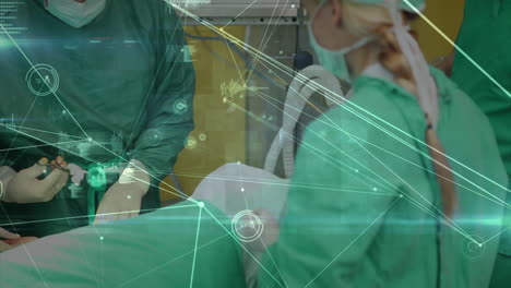 animación de la red de conexiones entre diversos médicos y médicas