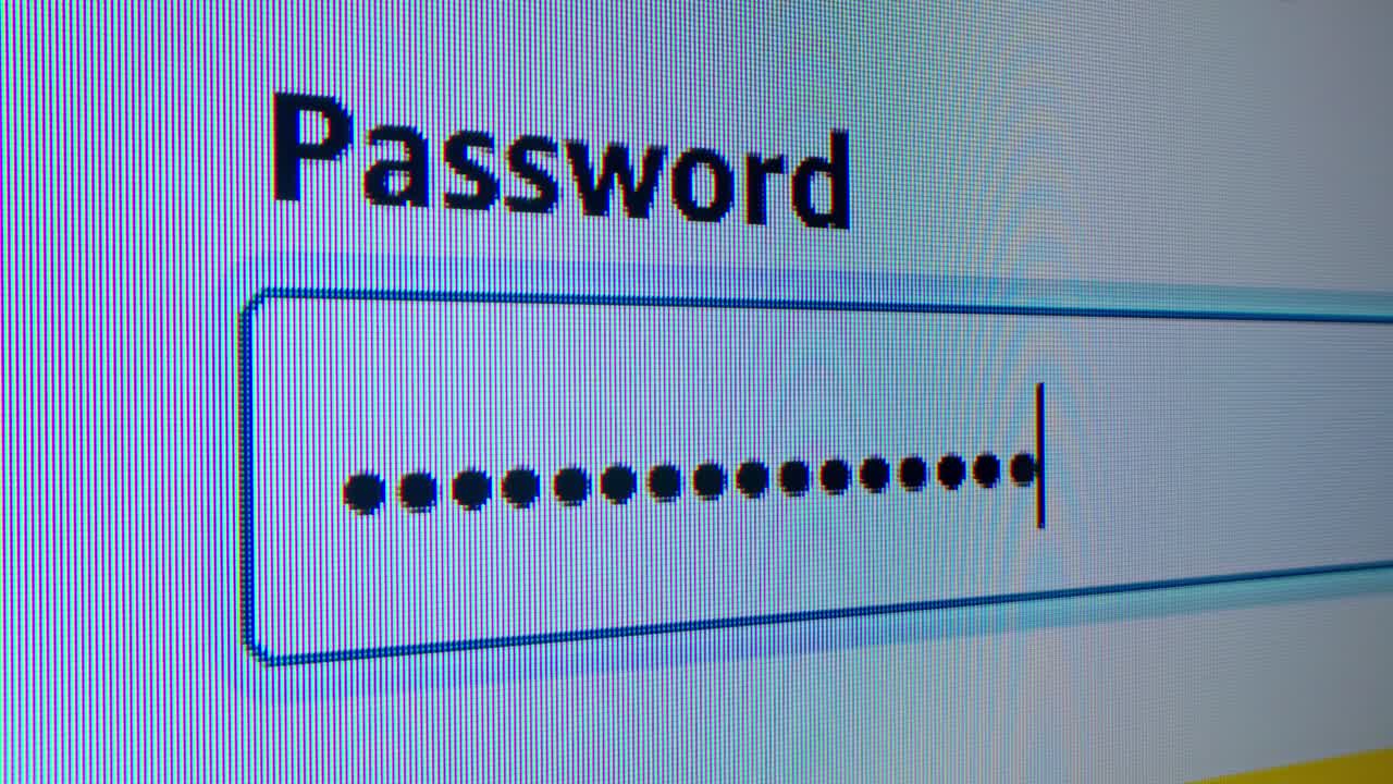 Password Input Field on Computer Screen
